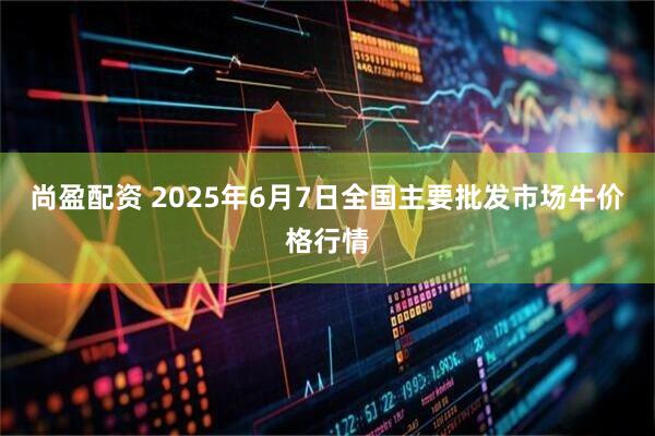 尚盈配资 2025年6月7日全国主要批发市场牛价格行情